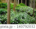 東京あきる野市の紫陽花の名所あじさい山の景観 140792032