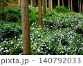 東京あきる野市の紫陽花の名所あじさい山の景観 140792033