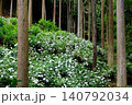 東京あきる野市の紫陽花の名所あじさい山の景観 140792034