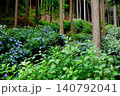 東京あきる野市の紫陽花の名所あじさい山の景観 140792041