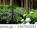 東京あきる野市の紫陽花の名所あじさい山の景観 140792042