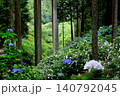 東京あきる野市の紫陽花の名所あじさい山の景観 140792045