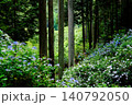 東京あきる野市の紫陽花の名所あじさい山の景観 140792050