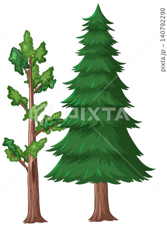 Vector Illustration of Evergreen Pine and Deciduous Forest Trees Vector Illustration of Evergreen Pine and Deciduous Forest Trees 140792290