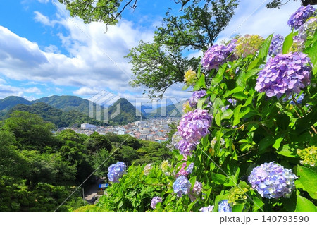 下田公園のあじさい 140793590