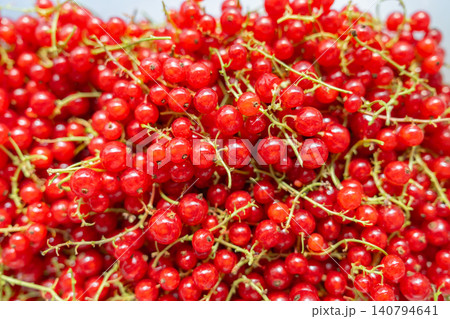 Full frame macro shot of freshly harvested ripe red currant berries with green stems. Vibrant, juicy summer fruit texture background. Stock photo.Close-up of organic redcurrants rich in vitamins Full frame macro shot of freshly harvested ripe red currant berries with green stems. Vibrant, juicy summer fruit texture background. Stock photo.Close-up of organic redcurrants rich in vitamins 140794641