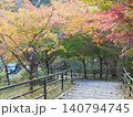 紅葉したもみじ 140794745