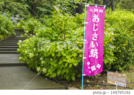 八景島の紫陽花祭り 140795192