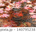 水面に浮かぶ紅葉 140795238