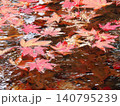 水面に浮かぶ紅葉 140795239