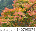 紅葉した山 140795374