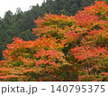 山の中で色とりどりに色づいた紅葉 140795375