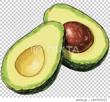 avocado avocado 140795451