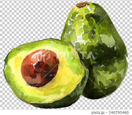 avocado avocado 140795460