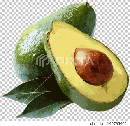 avocado avocado 140795462