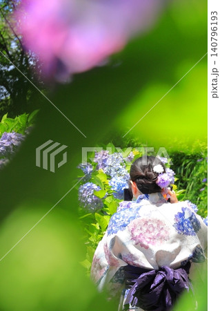 下田公園のあじさい 下田公園のあじさい 140796193