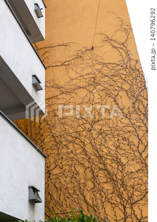 Vienna, Austria - February 12, 2023: Facade of an apartment building with a tree and shadows Vienna, Austria - February 12, 2023: Facade of an apartment building with a tree and shadows 140796292