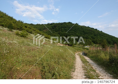 Winding countryside dirt road leading into a lush green forest under a bright blue summer sky 140796724