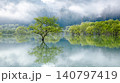 朝霧に包まれる新緑の「白川湖の水没林」(山形県飯豊町、4月下旬) 140797419