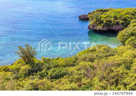 鮮やかな青い海と緑豊かな断崖の岬が織りなす南国の絶景 鮮やかな青い海と緑豊かな断崖の岬が織りなす南国の絶景 140797949