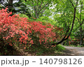 北海道平取町、義經神社裏参道沿いに咲くツツジ【5月】 140798126