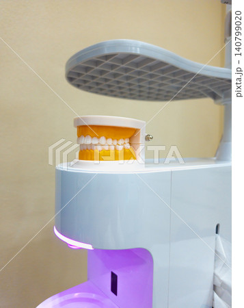 Model Dentures. Dental teeth model 140799020