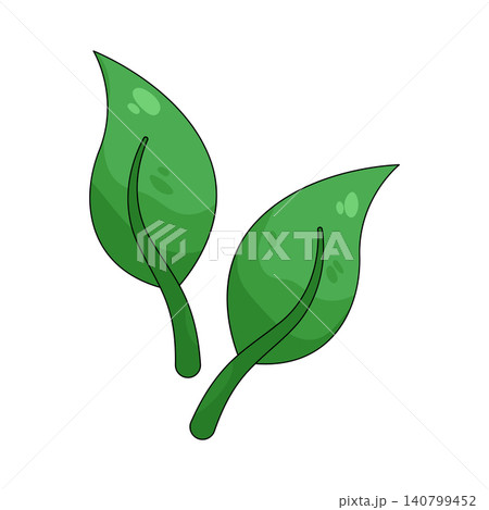 Illustration of green leaf Illustration of green leaf 140799452