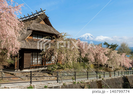traditional thatched house with cherry blossom and Mt.Fuji, Yamanashi traditional thatched house with cherry blossom and Mt.Fuji, Yamanashi 140799774