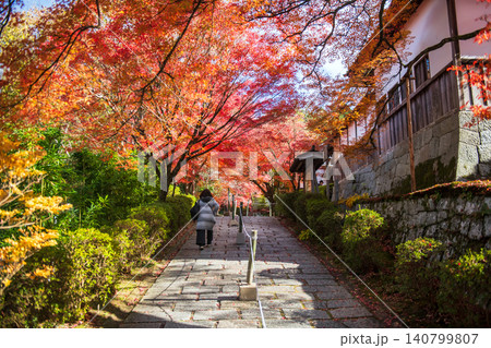 woman at autumn maple leaf tunnel to Manshuin temple, Kyoto woman at autumn maple leaf tunnel to Manshuin temple, Kyoto 140799807