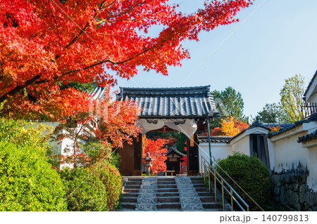 Kenninji temple wooden gate with beautiful fall leaf colors, Kyoto Kenninji temple wooden gate with beautiful fall leaf colors, Kyoto 140799813