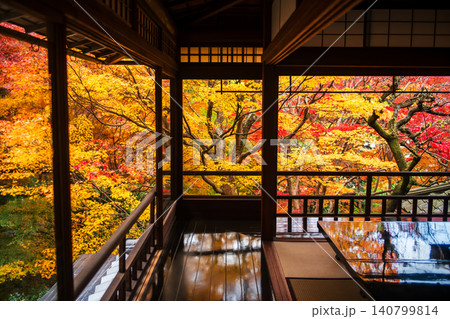 Rurikoin temple room with beautiful autumn maple leaf, Kyoto Rurikoin temple room with beautiful autumn maple leaf, Kyoto 140799814