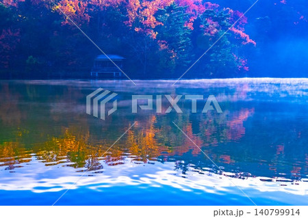京都 宝ヶ池の紅葉 京都 宝ヶ池の紅葉 140799914