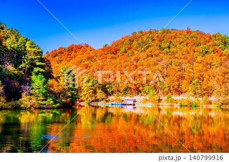 京都 宝ヶ池の紅葉 京都 宝ヶ池の紅葉 140799916