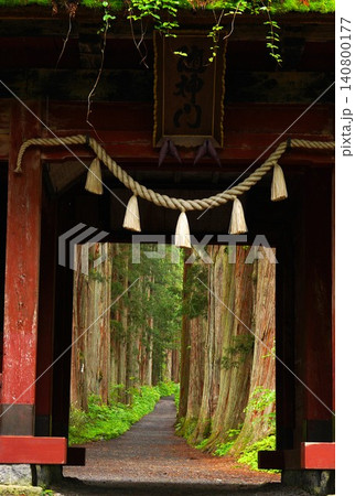 戸隠神社奥社随神門と新緑の杉並木② 戸隠神社奥社随神門と新緑の杉並木② 140800177