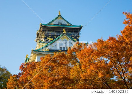 大阪城 紅葉2 大阪城 紅葉2 140802385