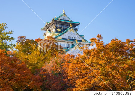大阪城 紅葉2 大阪城 紅葉2 140802388