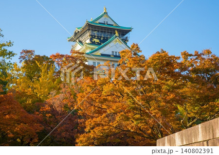 大阪城 紅葉2 大阪城 紅葉2 140802391