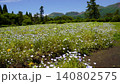 大分県くじゅう花公園に咲く色とりどりの花と風景 140802575