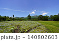 大分県くじゅう花公園に咲く色とりどりの花と風景 140802603