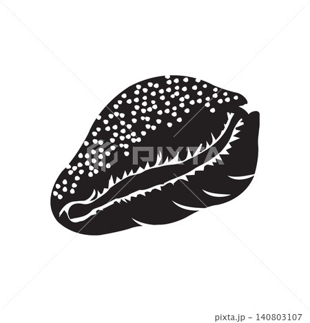 Minimalist Seashell Silhouette Vector Illustration 140803107