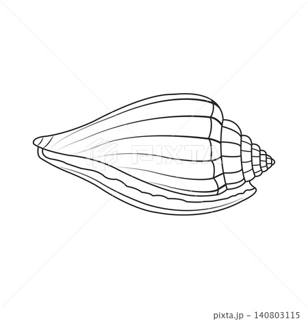 Minimalist Seashell Silhouette Vector Illustration Minimalist Seashell Silhouette Vector Illustration 140803115