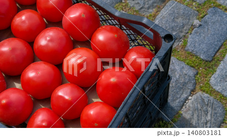 Colorful red fresh tomatoes in black crate on cobblestone street of city. Grocery store or market delivery, shopping for fresh food. Market supply. Vegetables, ingredients for salad or vegan diet 140803181