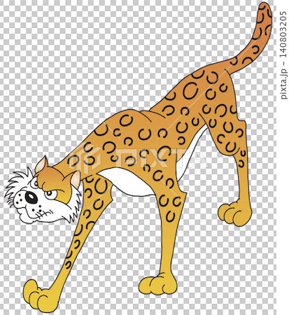 Hand-drawn animal illustration ☆ Leopard Hand-drawn animal illustration ☆ Leopard 140803205