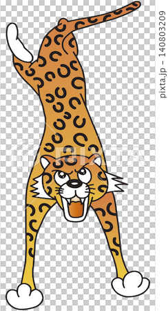 Hand-drawn animal illustration ☆ Leopard 140803209