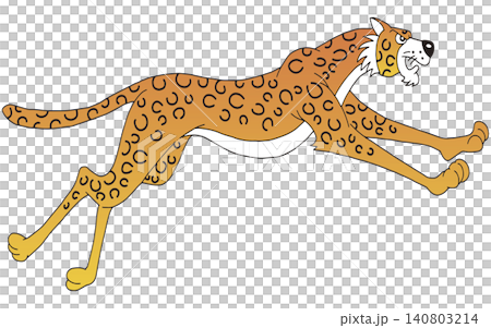 Hand-drawn animal illustration ☆ Leopard Hand-drawn animal illustration ☆ Leopard 140803214