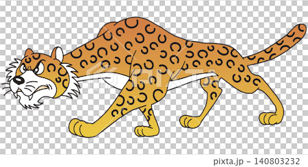 Hand-drawn animal illustration ☆ Leopard 140803232