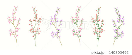 Set of twigs with flowers on a light milky background. Set of twigs with flowers on a light milky background. 140803492
