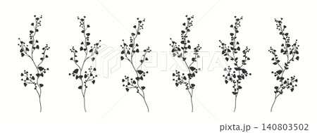Set of branches with flowers and leaves of various shapes. Manual vector illustration. Set of branches with flowers and leaves of various shapes. Manual vector illustration. 140803502