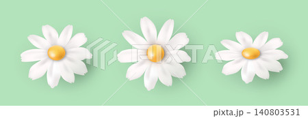 Three daisies on a green background. White spring and summer flowers. 140803531