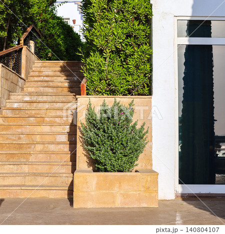 Narrow staircase ascending through lush green vegetation in a tropical or garden setting Narrow staircase ascending through lush green vegetation in a tropical or garden setting 140804107